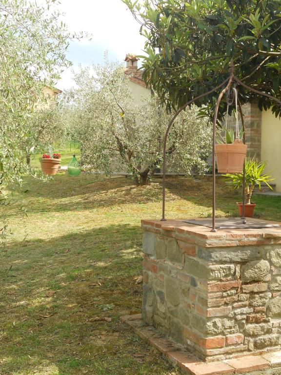 Penzion Selva Degli Ulivi Foiano Della Chiana Exteriér fotografie