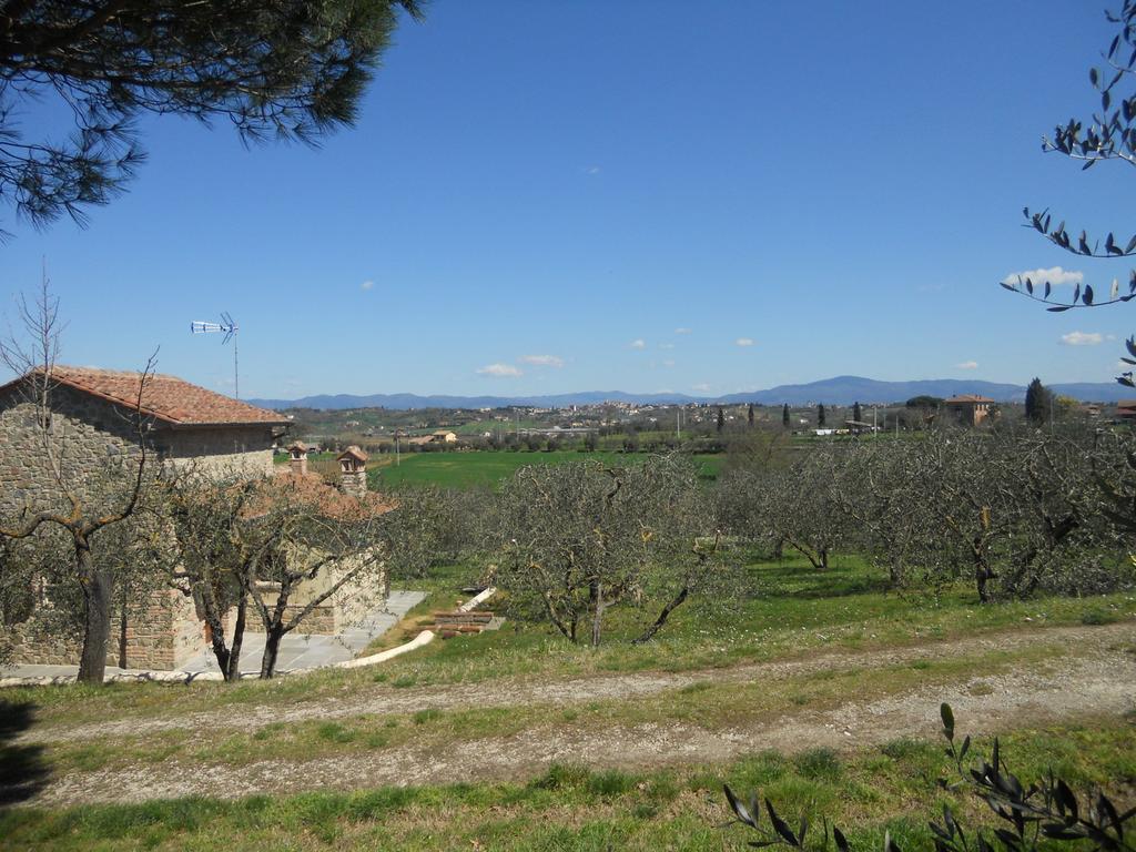 Penzion Selva Degli Ulivi Foiano Della Chiana Exteriér fotografie